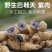 巴戟天巴戟肉正品保证中药材健康至上莫贪便宜【包邮