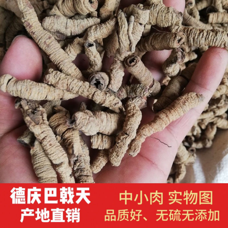 巴戟天巴戟肉正品保证中药材健康至上莫贪便宜【包邮