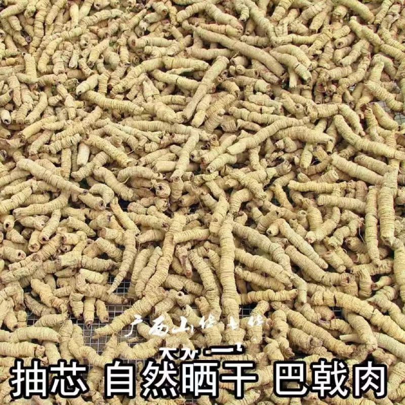 巴戟500克袋装无硫巴戟肉选货多规格可选包邮