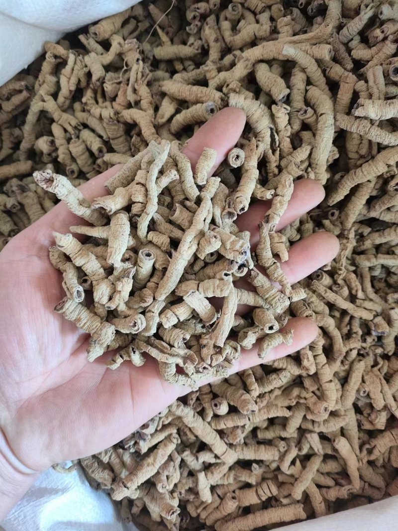 巴戟500克袋装无硫巴戟肉选货多规格可选包邮