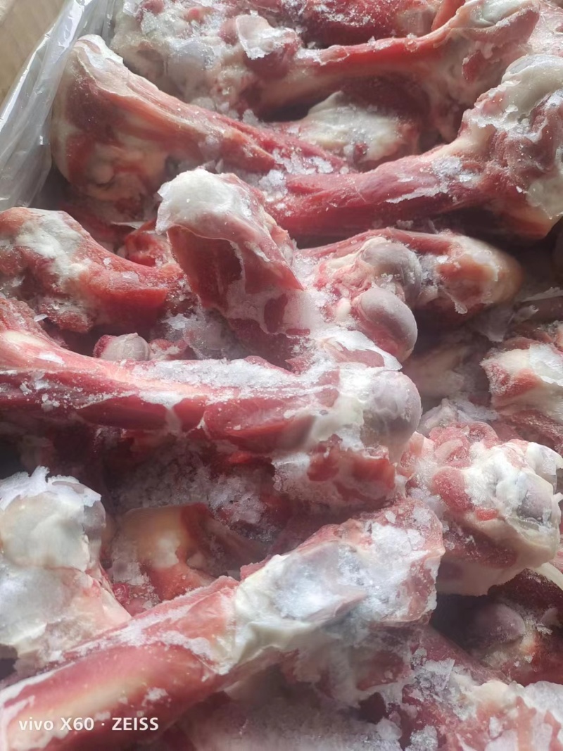 草地溜羊干棒、多肉羊棒骨，新鲜，全国冷链发货，量大从优！
