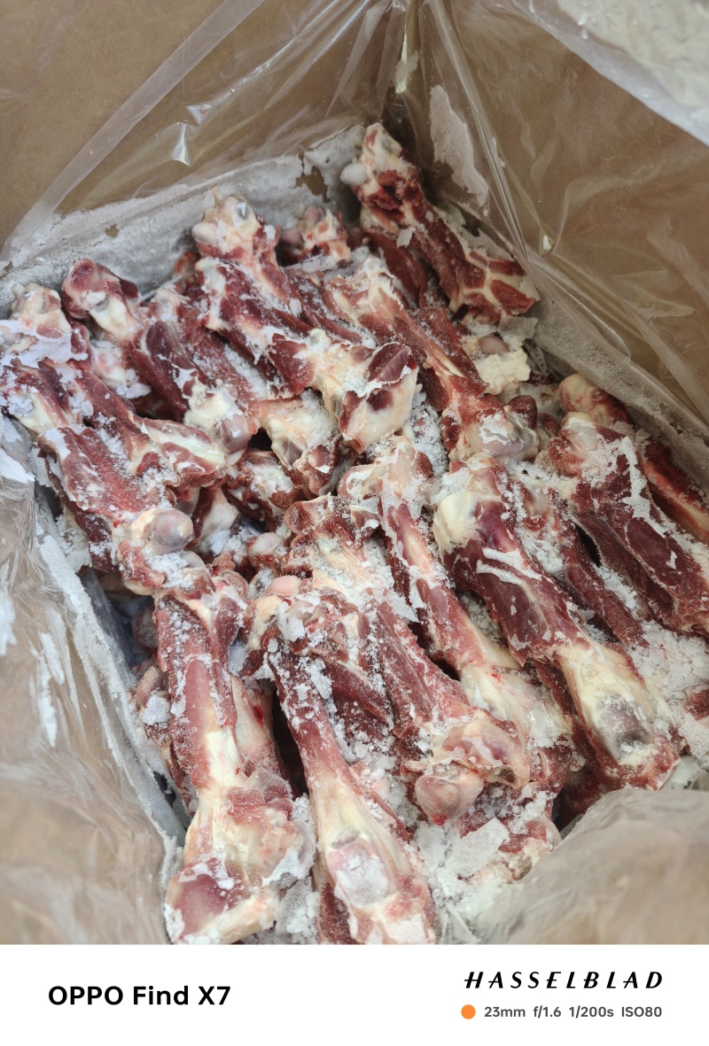 草地溜羊干棒、多肉羊棒骨，新鲜，全国冷链发货，量大从优！