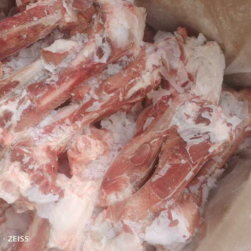 草地溜羊干棒、多肉羊棒骨，新鲜，全国冷链发货，量大从优！