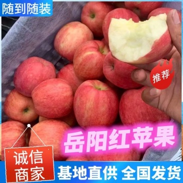岳阳红苹果,高山苹果,辽宁苹果,甜脆可口,个头均匀,现货