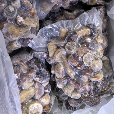 冷冻牛肝菌白牛肝美味牛肝