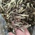 精品鹿茸菇，优选好货全国可发，对接零售、批发