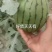 冰糖仔小吊瓜，大量上市，价格不高，有需要的老板联系我