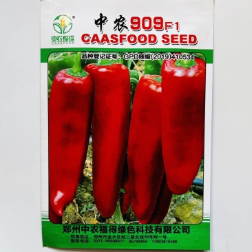 中农909辣椒种子早熟大红椒果粗牛角型抗性好耐热光皮红泡