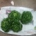 奶油生菜
