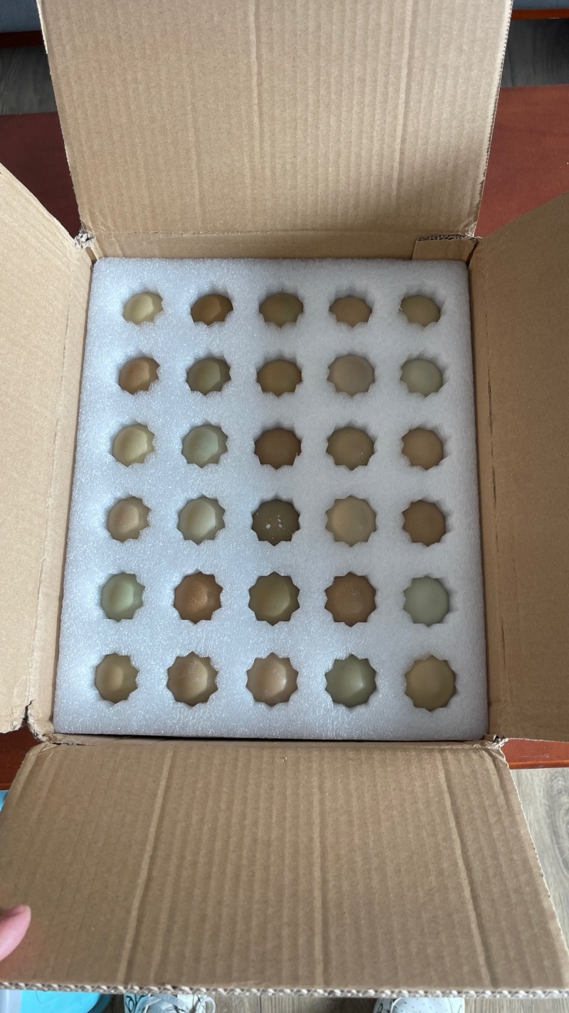 【精品】七彩山鸡蛋批发，代发，货源充足品质保障