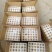 【精品】七彩山鸡蛋批发，代发，货源充足品质保障