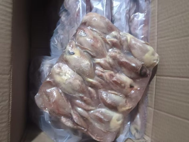 2两多点鹌鹑