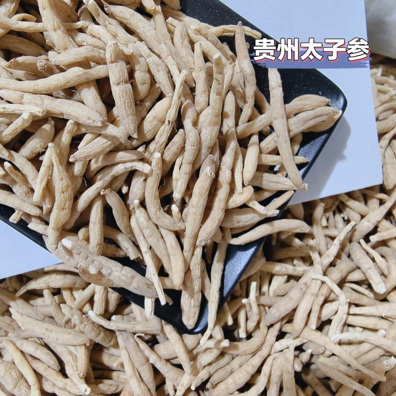 太子参孩儿参现货大量批发24小时发货不包邮