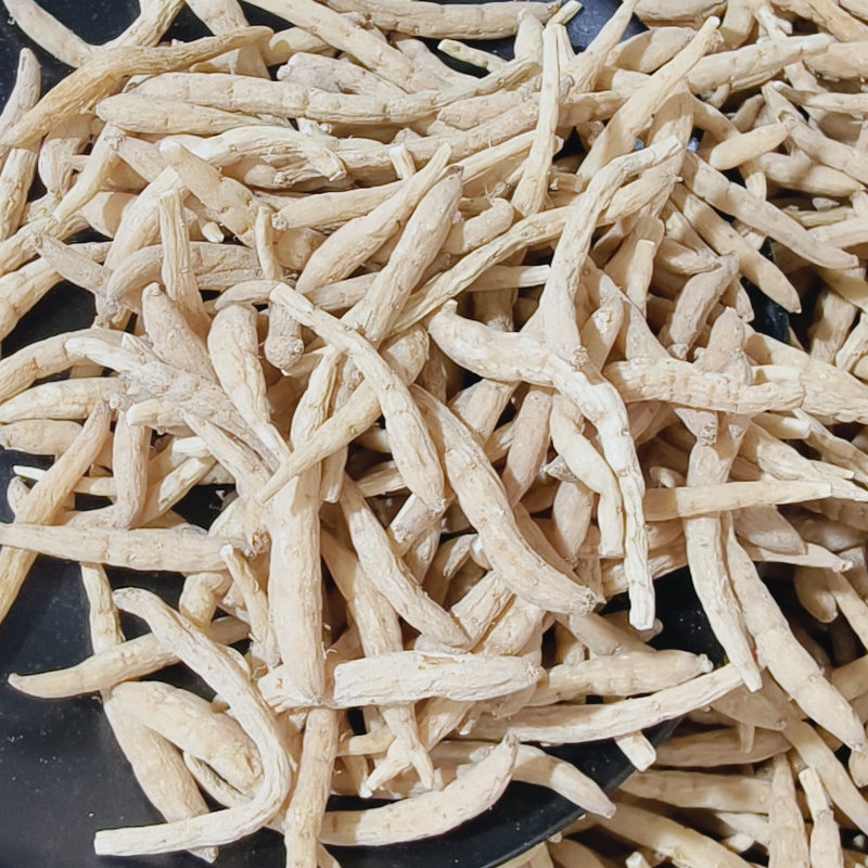 太子参孩儿参现货大量批发24小时发货不包邮