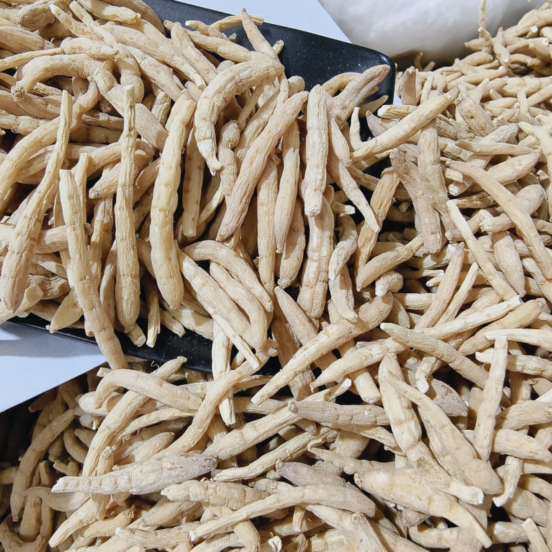 太子参孩儿参现货大量批发24小时发货不包邮