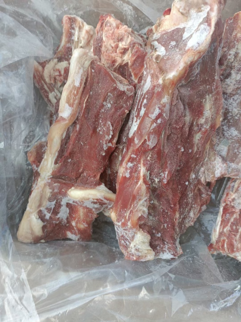 内蒙678月份的满肉羊蝎子，从脖整根切，支持看货，量大从