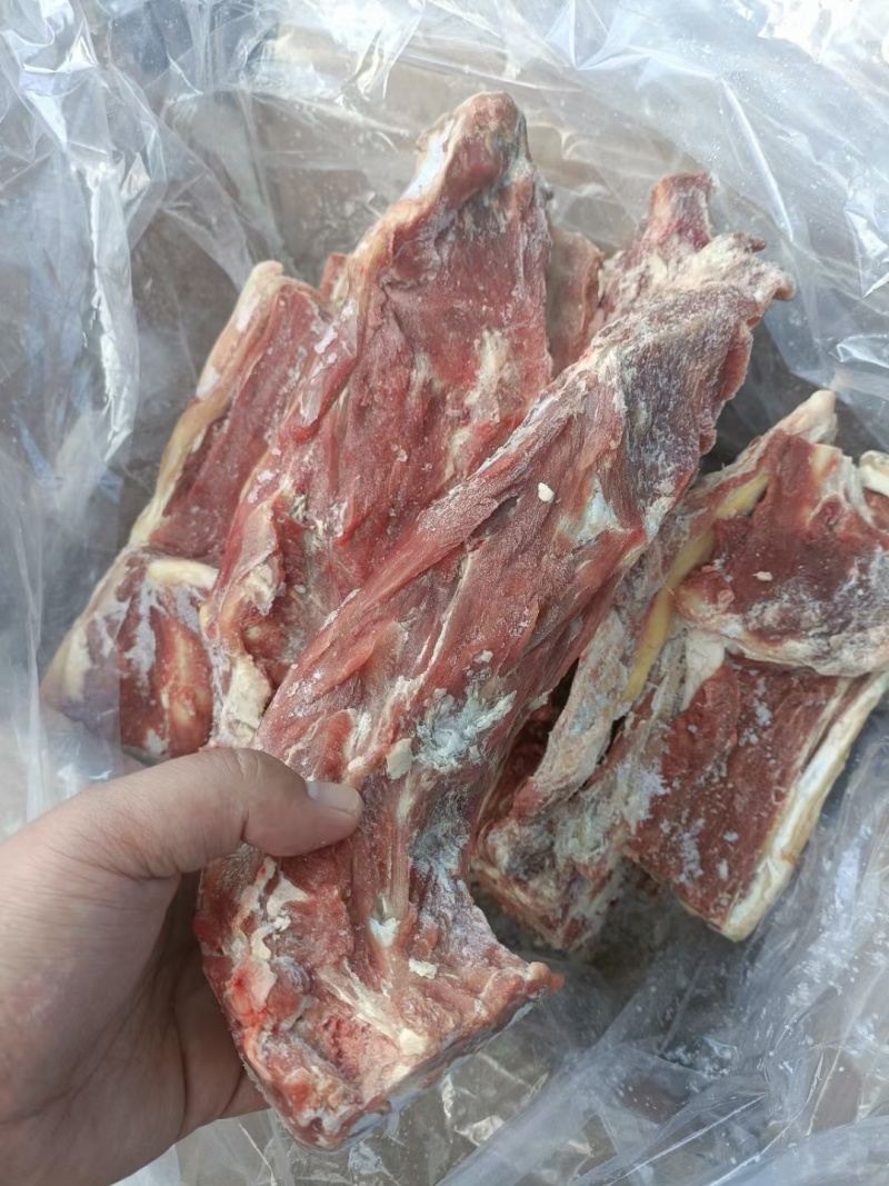内蒙678月份的满肉羊蝎子，从脖整根切，支持看货，量大从