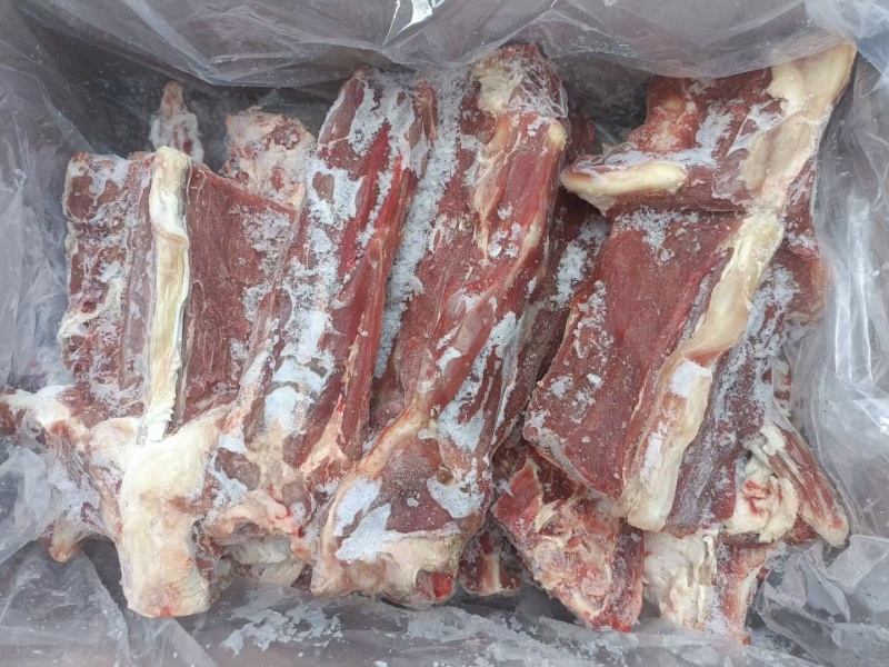内蒙678月份的满肉羊蝎子，从脖整根切，支持看货，量大从