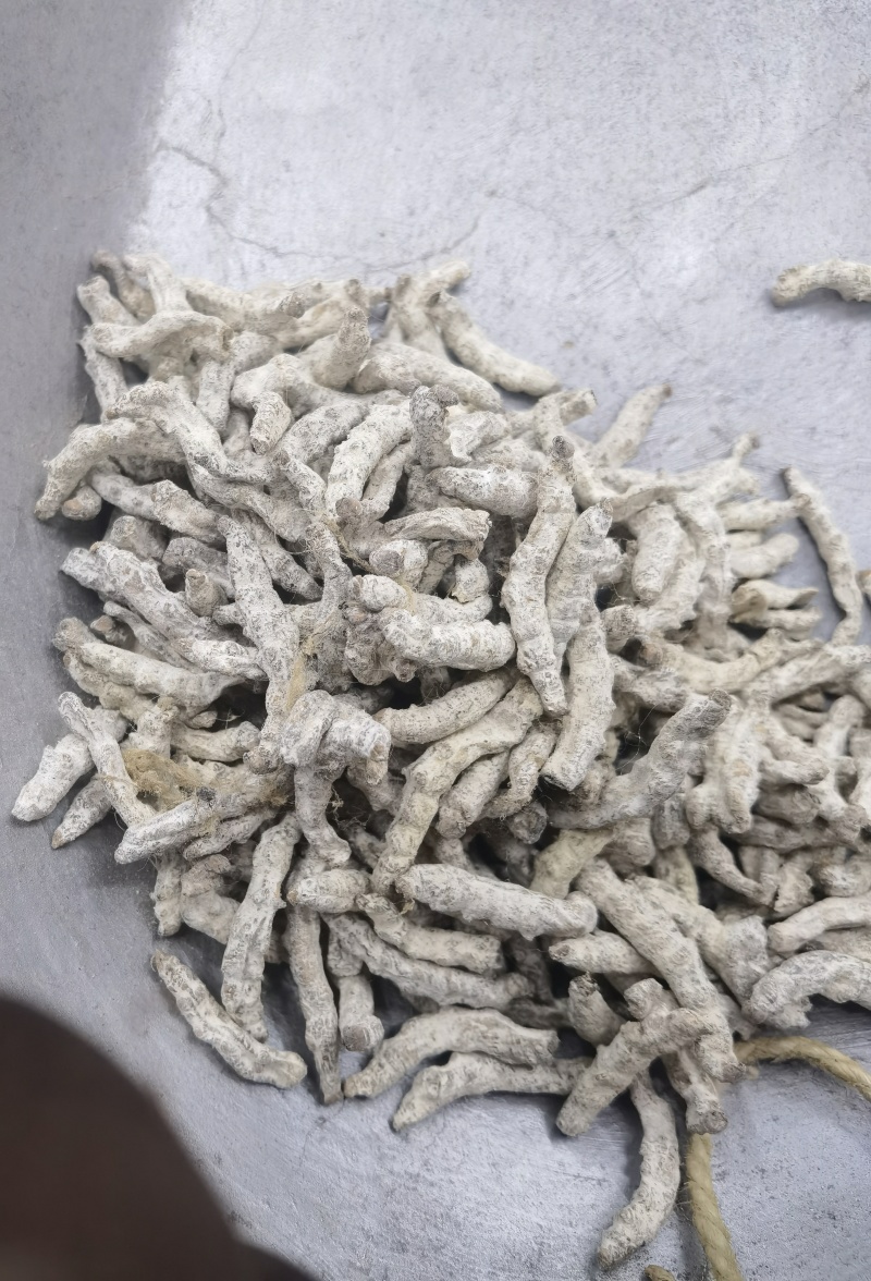僵蚕广西1公斤起批无硫无添加不包邮只做正品