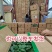 粉秀宝大果粉果番茄/基地直发/保质保量/老板热情/可电联