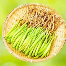 宁夏盐池黄花菜对接全国大量有货欢迎订购