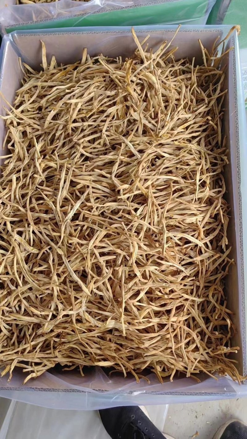 宁夏盐池黄花菜对接全国大量有货欢迎订购
