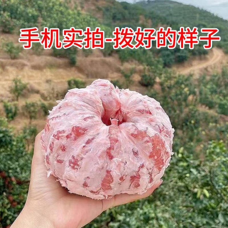 【实力推荐】福建柚子红心蜜柚产地直发一手货源可视频