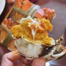 盐城大纵湖精品大闸蟹批发零售