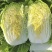 【今日推荐】黄心白菜黑龙江白菜产地直发品质保证