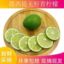 1件代发云南盈江塔西提无籽青柠檬新鲜青柠皮薄多汁清香1件代发