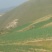 山西旱地大葱长白大葱产地一手货源欢迎咨询