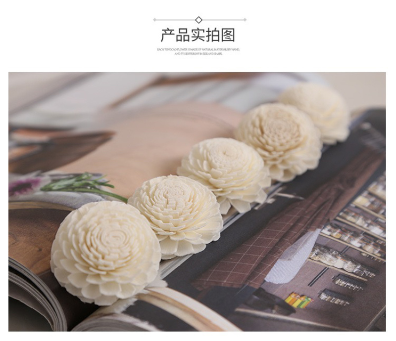 通草花无心菊花批发