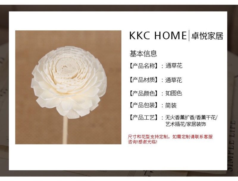 通草花无心菊花批发