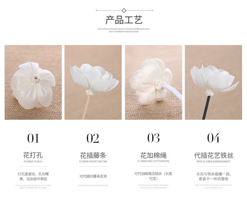 通草花无心菊花批发