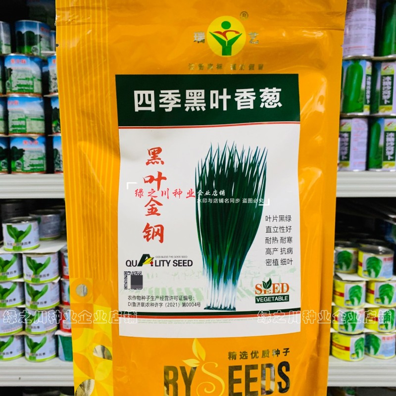 四季黑叶香葱种子黑叶金刚小香葱种子叶色黑绿钢葱种子小葱籽