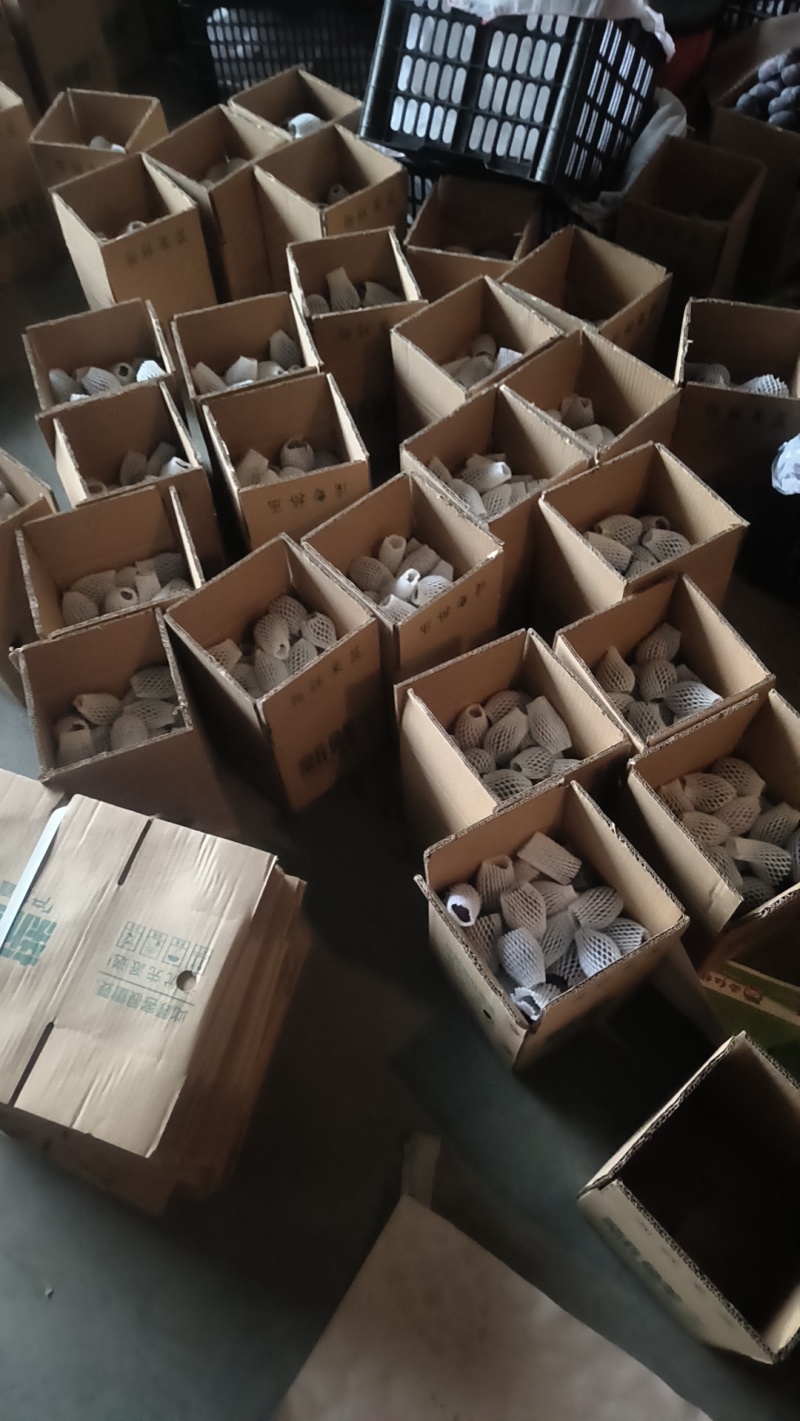 甘肃酒泉精品西梅，单果50克左右，电商，团购，一件代发