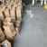 甘肃酒泉精品西梅，单果50克左右，电商，团购，一件代发