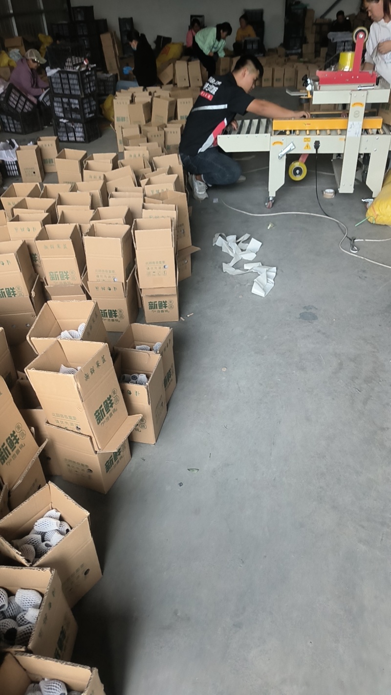 甘肃酒泉精品西梅，单果50克左右，电商，团购，一件代发