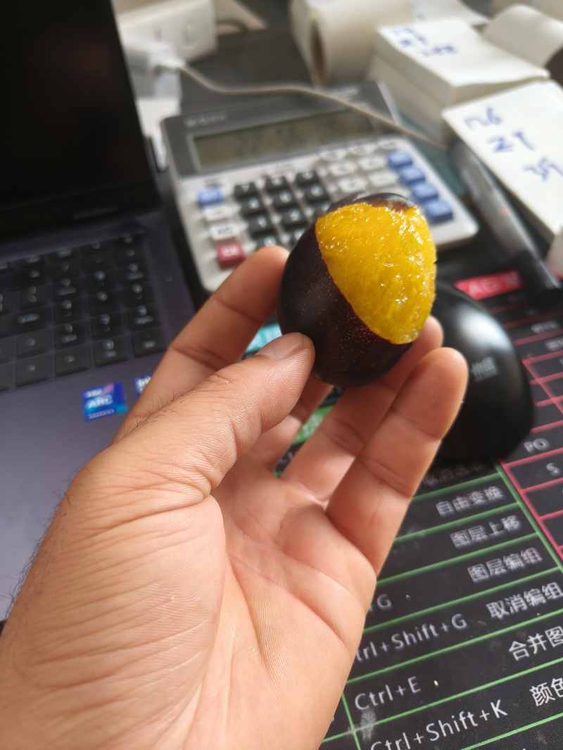甘肃酒泉精品西梅，单果50克左右，电商，团购，一件代发