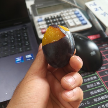 甘肃酒泉精品西梅，单果50克左右，电商，团购，一件代发