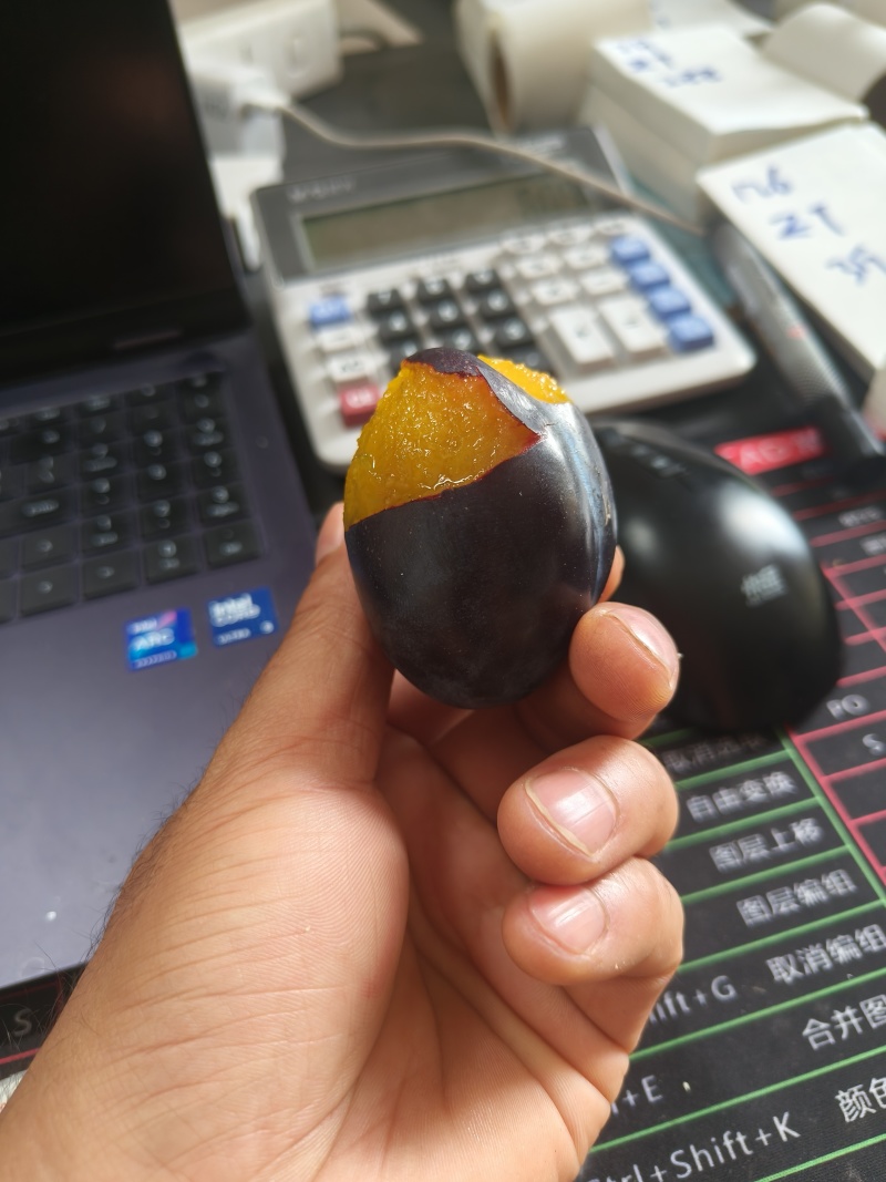 甘肃酒泉精品西梅，单果50克左右，电商，团购，一件代发