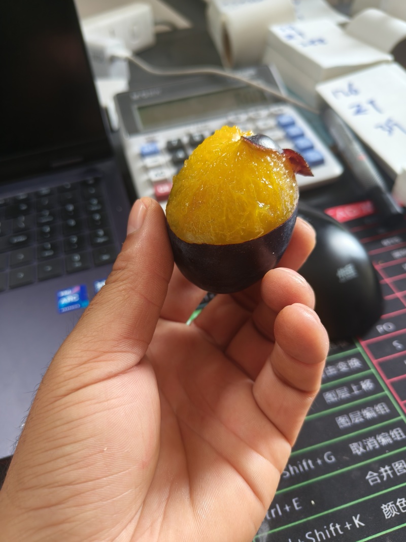 甘肃酒泉精品西梅，单果50克左右，电商，团购，一件代发