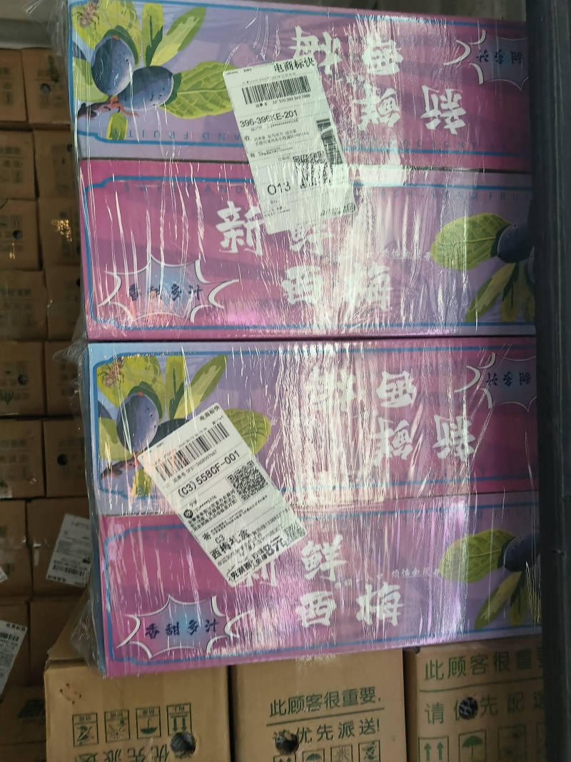 甘肃酒泉精品西梅，单果50克左右，电商，团购，一件代发