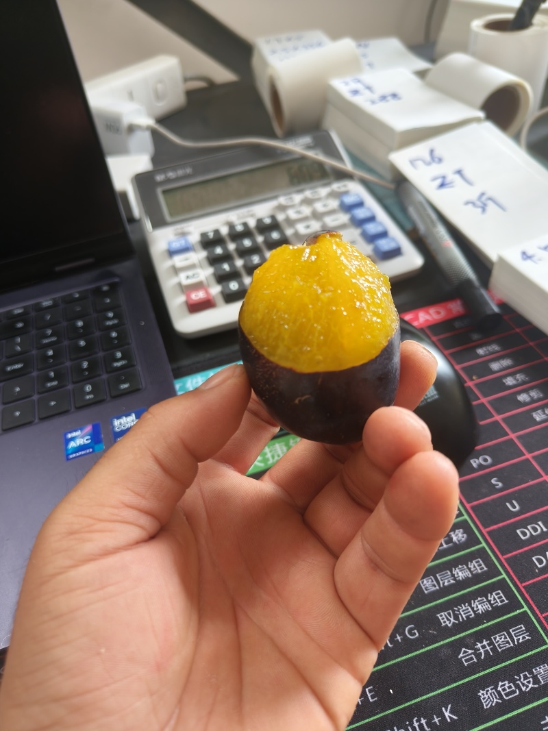 甘肃酒泉精品西梅，单果50克左右，电商，团购，一件代发