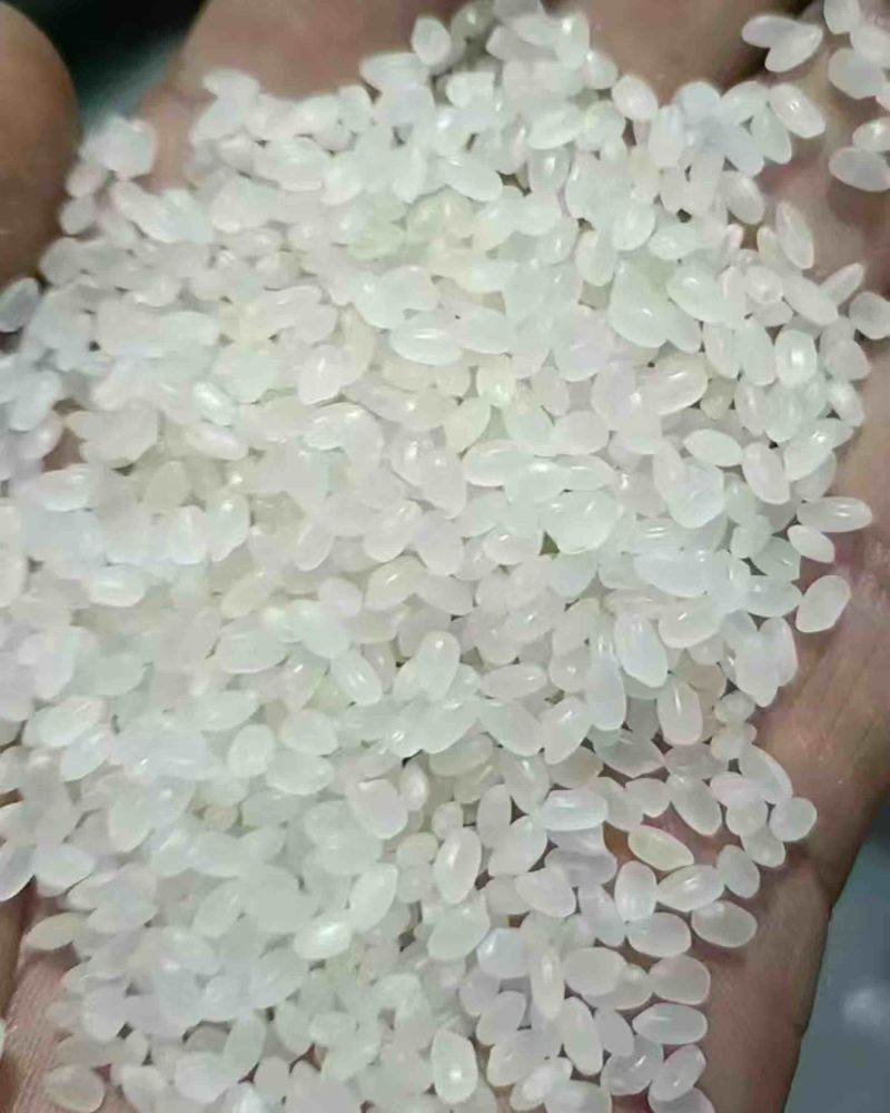 珍珠米