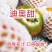 草莓番茄苗西红柿苗/基地直发/量大价优/保质保量
