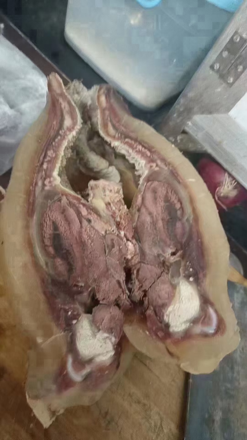 【牛头肉】精品全熟牛头肉精修无碱火烧毛地摊卤菜店预制菜