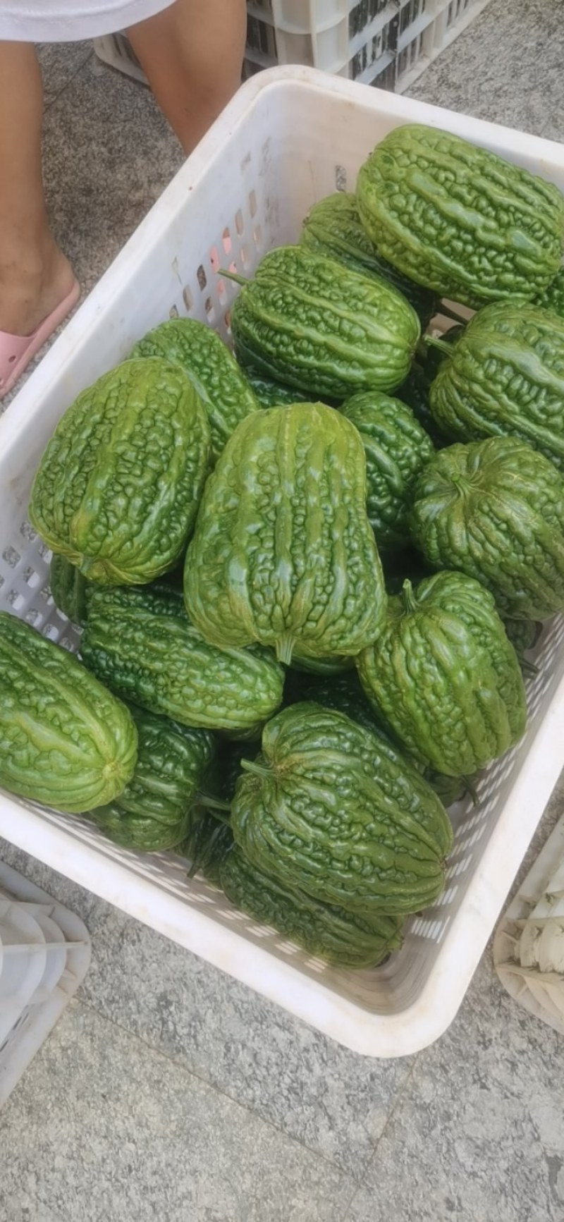 苦瓜干