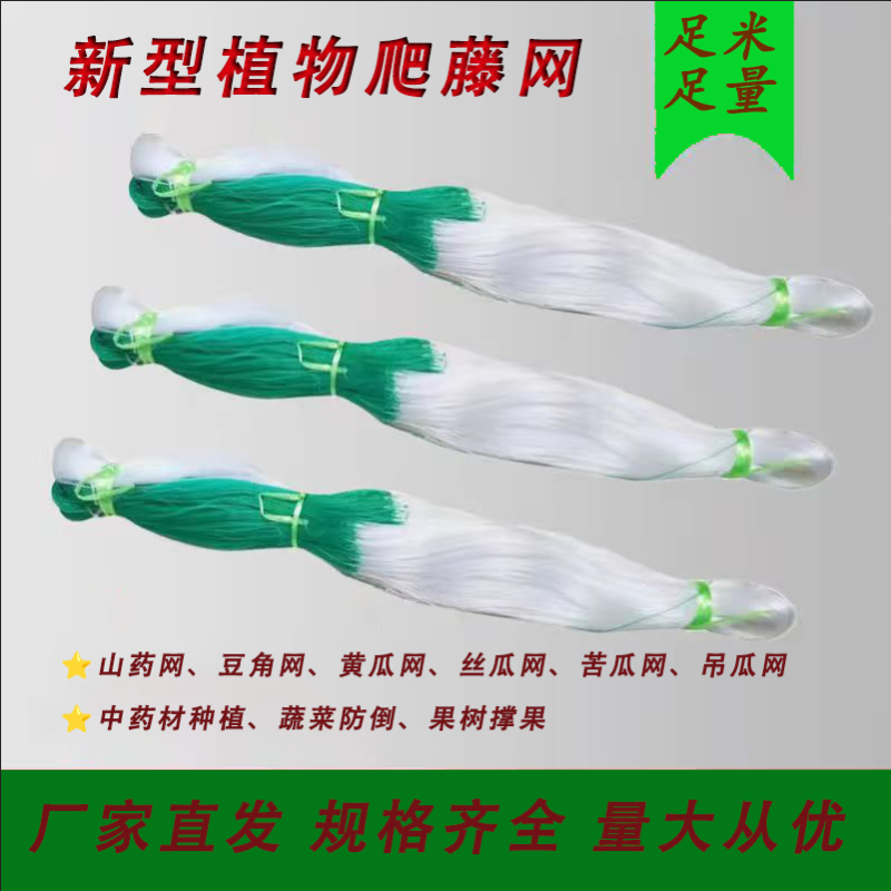 黄瓜豆角专用爬藤网好拉不乱网厂家出货量大从优