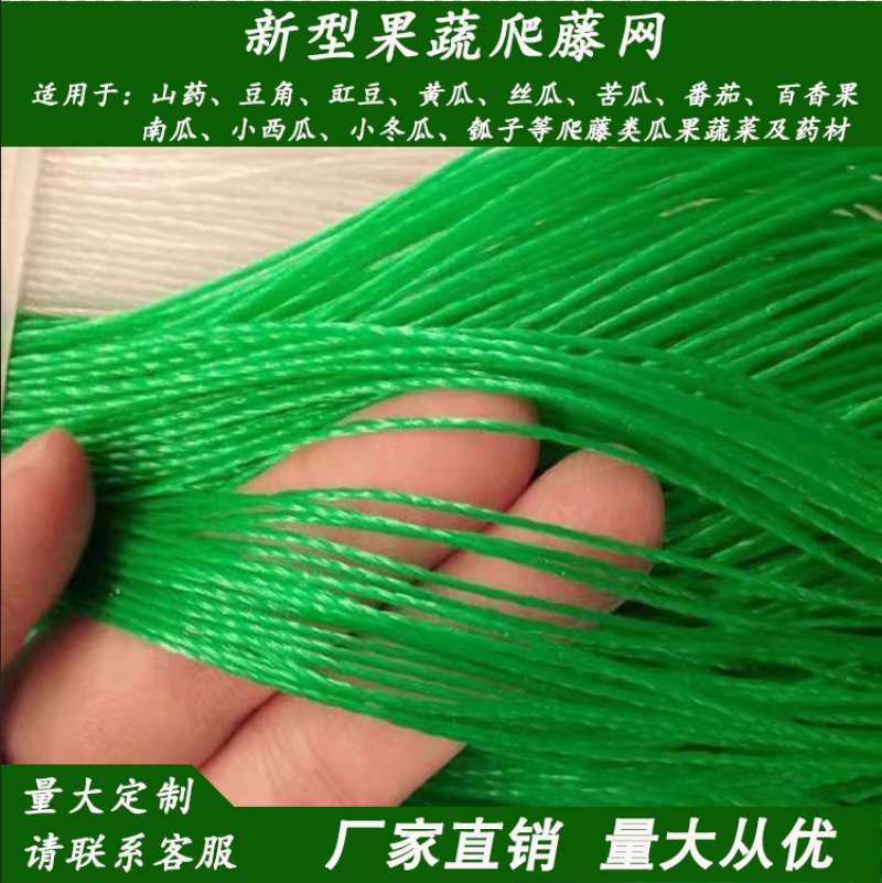 黄瓜豆角专用爬藤网好拉不乱网厂家出货量大从优